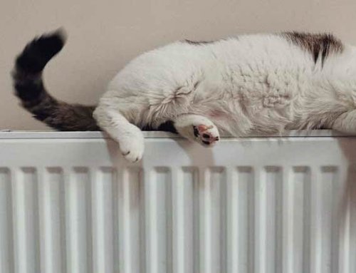 New Central Heating Radiators – How Often Should Radiators be Replaced?