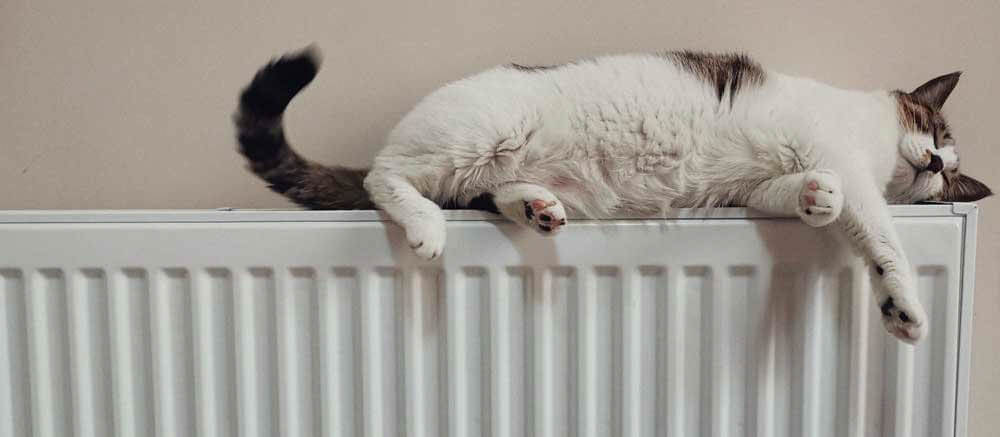New-Central-Heating-Radiators-How-Often-Should-Radiators-be-Replaced