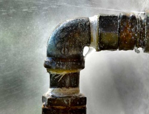 The 10 Most Common Plumbing Problems & How to Avoid Them