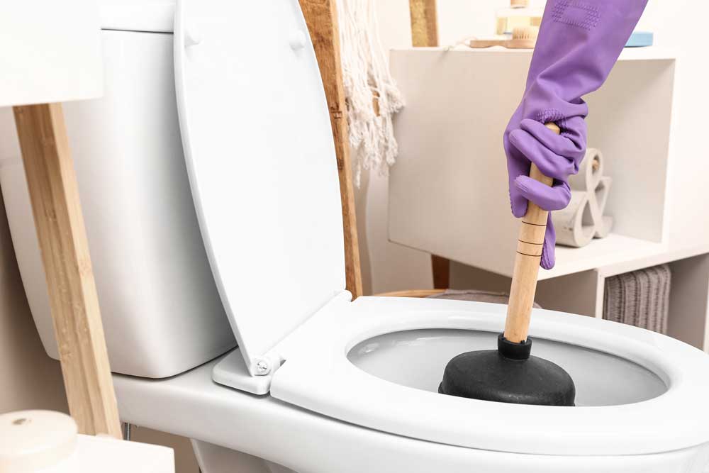 Toilet-Clogs---Plumbing-Problems