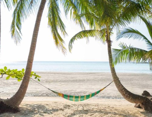 Tips On How to Prepare Your Plumbing and Heating Systems when Going on Holidays