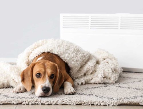 Radiators Not Heating Up? The Real Causes in Irish Homes